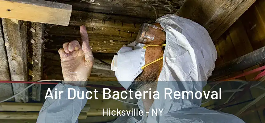 Air Duct Bacteria Removal Hicksville - NY