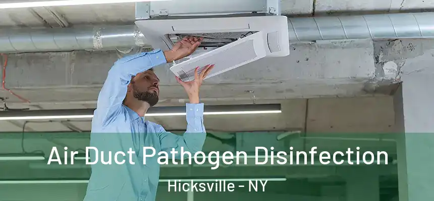 Air Duct Pathogen Disinfection Hicksville - NY