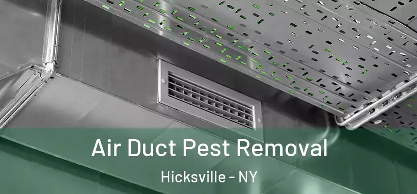  Air Duct Pest Removal Hicksville - NY