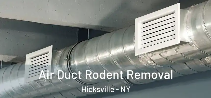 Air Duct Rodent Removal Hicksville - NY