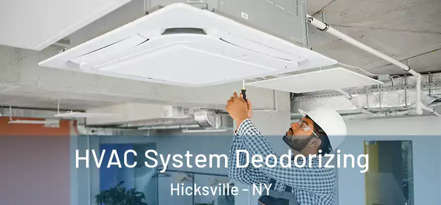 HVAC System Deodorizing Hicksville - NY