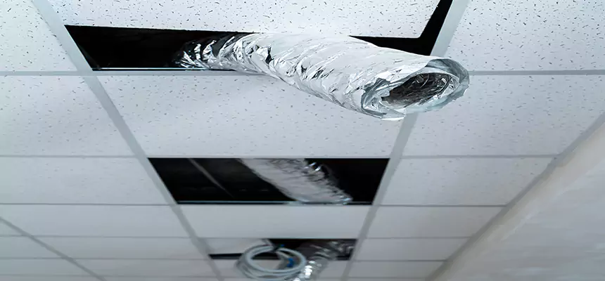 Our Air Duct Pet Hair Removal Services in Hicksville, NY