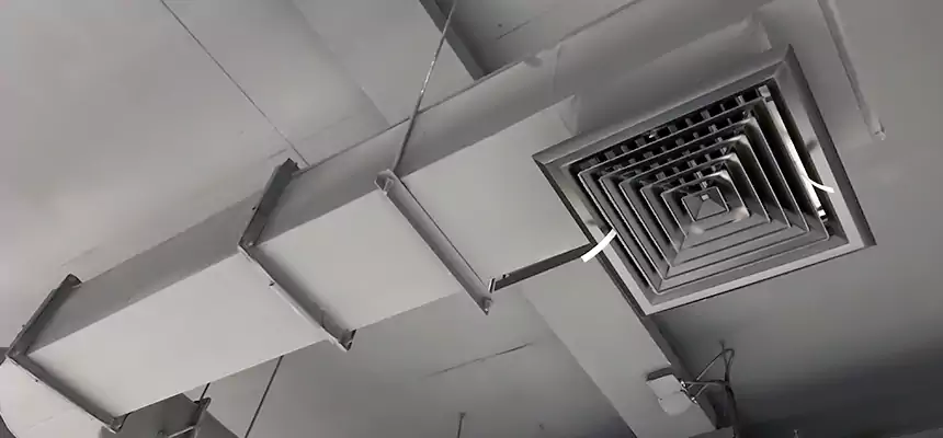 Our Pest Removal From Ducts Services in Hicksville, NY