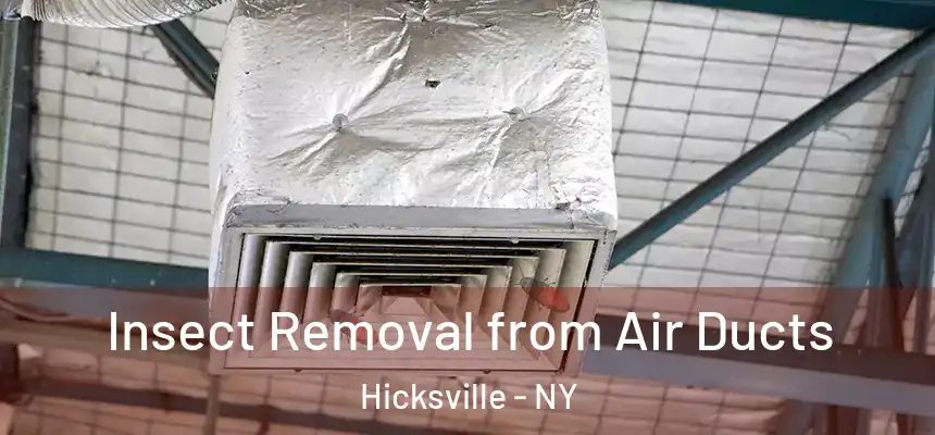 Insect Removal from Air Ducts Hicksville - NY