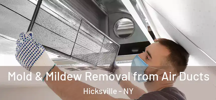  Mold & Mildew Removal from Air Ducts Hicksville - NY