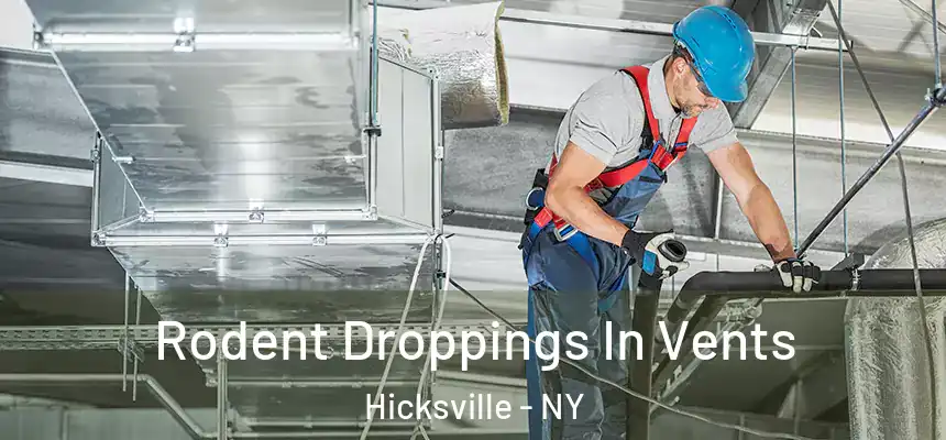  Rodent Droppings In Vents Hicksville - NY