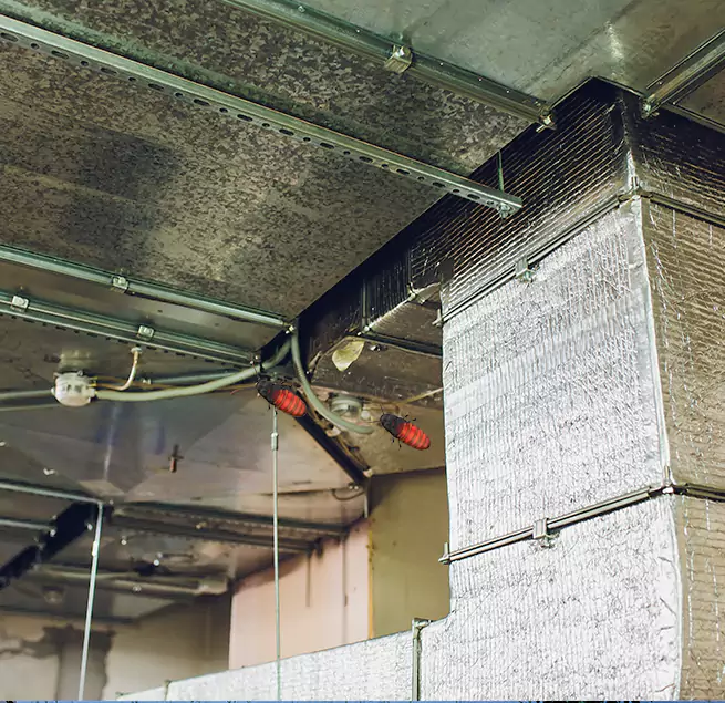 Why Homeowners & Businesses Trust Us in Hicksville, NY?